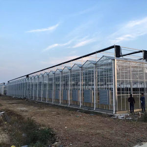 Skyplant Multi-Span Large Size <b>Agricultural</b> Glass <b>Greenhouse</b> 5mm Tempered Glass Galvanized Frame for Commercial Crop Cultivation - Product Image 1