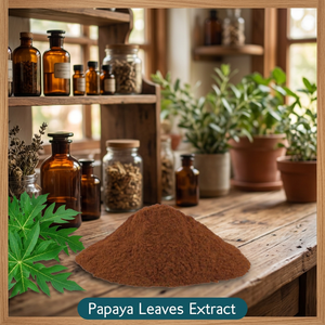 Extracto de Hojas de Papaya en Polvo, Extracción por Solvente, Extracto de Planta de Grado Alimenticio para Aplicaciones Alimentarias - Product Image 4