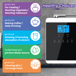 Máy lọc nước ion kiềm <span class=keywords><strong>Kangen</strong></span> Nhật Bản, 5/7/11 tấm, phủ Platinum, sản xuất nước kiềm - Product Image 3