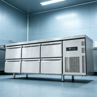 Peralatan Restoran Komersial Freezer Stainless Steel dengan Pendinginan Suhu Tunggal untuk Pajangan Makanan