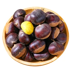 Multifunctional big eating chinese chestnuts supplier chestnut for wholesales