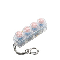 Porte-clés lumineux en silicone en forme de patte de chat de dessin animé 3D, jouet de décompression, pendentif mousqueton, breloque de sac, 4 clés, Test Axis