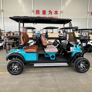 Carrito de Golf Urbano HKBG de 7-8 Plazas con Velocidad de 30-50 km/h y Autonomía de 50-70 km, Incluye Carrito de Golf Estándar, Precios del Producto - Product Image 6