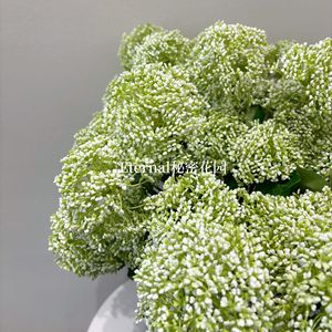 Hydrangea artificielle Secret Garden, blanc et vert, branche unique, décoration florale en plastique pour la maison, les mariages et les bureaux - Product Image 1