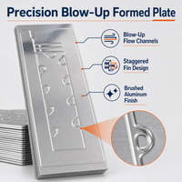 Plaque froide soufflée en alliage d'aluminium à liaison par rouleaux pour dissipation thermique de station de base 5G, spécifications personnalisées