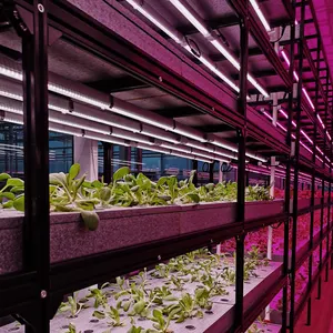 Indoor Nft Hydrocultuur Systemen Thuis Verticale Tuin Toren Met Led Licht