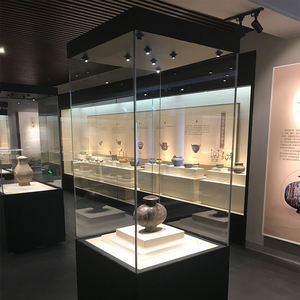 Vetrina da museo in vetro trasparente di alta qualità con scaffali multifunzione personalizzabili per scopi espositivi - Product Image 6