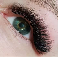 Extensions de cils pré-faites en éventail 6D W, cils trèfle, base plate, naturels, doux, individuels, faciles à poser