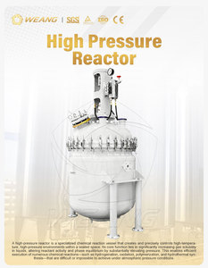 Hochdruck-Edelstahl-Reaktortank mit Rührwerk und Temperaturregelung - Product Image 3