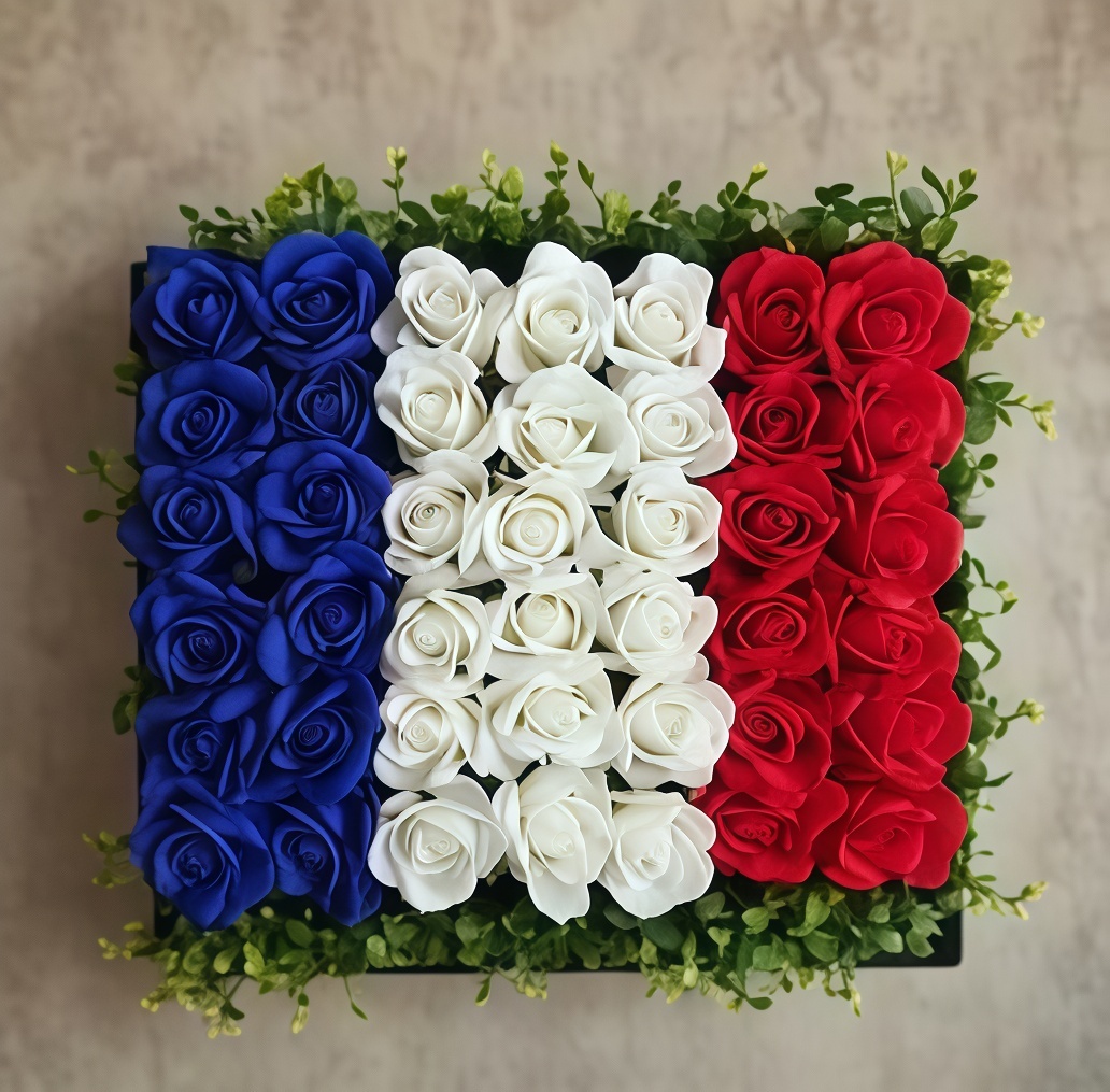 France blue white red
