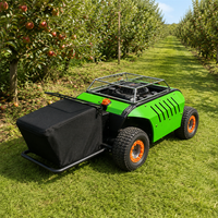 Tondeuse à gazon télécommandée professionnelle tout-terrain pour ferme, jardin, verger