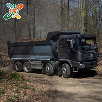 Camion benne minier poids lourd Shacman 8x4 d'occasion avec moteur diesel Weichai FAST, caméra arrière et vérin hydraulique, direction à gauche