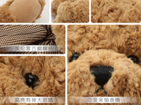 Ours en peluche brun timide en peluche, jouet en peluche, ours en peluche à articulation magnétique