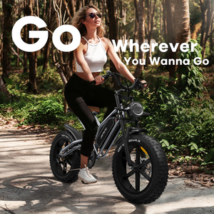 คลังสินค้ายุโรป JANSNO X50-17 City EBIKE จักรยานไฟฟ้าขนาด 20 นิ้ว 250W 48V 17AH 7 สปีด จักรยานไฟฟ้าล้อโตสำหรับในเมือง - Product Image 4