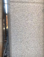 Peinture décorative multi-textures effet pierre avec finition personnalisable, peinture à l'aspect pierre véritable pour la décoration intérieure et extérieure
