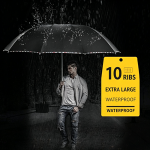 Parapluie pliant grand format 10 baleines pour deux personnes, parapluie robuste pour homme, protection pluie et soleil, parapluie promotionnel personnalisé en gros - Product Image 2
