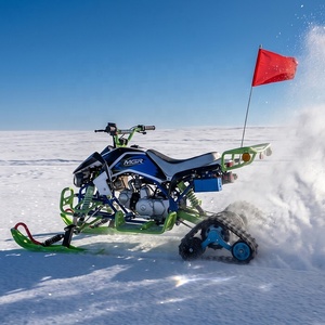 <span class=keywords><strong>Quad</strong></span> tout-terrain 125cc à démarrage électrique, 4 temps, à essence, avec transmission par chaîne, suspension à double bras, véhicule utilitaire agricole - Product Image 1