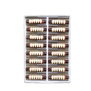 Gigi palsu akrilik, bahan <span class=keywords><strong>Dental</strong></span> Resin akrilik berlapis banyak, gigi palsu buatan <span class=keywords><strong>China</strong></span> - Product Image 5