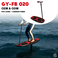 Planche de Foil Scoot en Fibre de Carbone avec Poignée pour Débutants, Poids Max. 100-150kg, Idéale pour l'Apprentissage et l'Entraînement – Vente en Gros Personnalisée