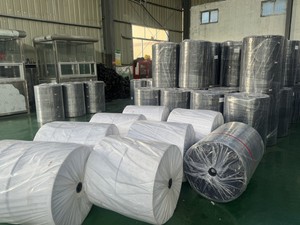 Tissu non tissé agricole, géotextile perméable, tissu paysager, couverture pour plantes, couverture de sol, tissu non tissé - Product Image 2