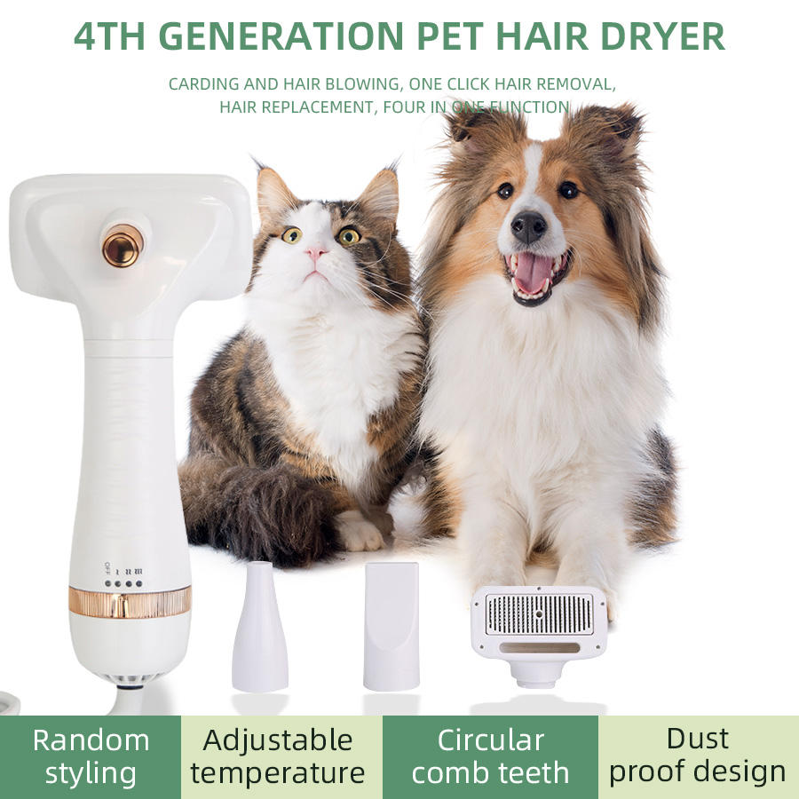 ตามที่แสดง