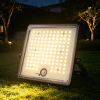 Projecteur LED à économie d'énergie pour jardin, parc, allée, cour, éclairage décoratif extérieur en PC ABS