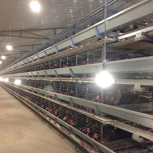 Gallinas ponedoras para pollos, cobertizo de acero para aves de corral - Product Image 2