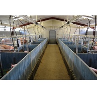 Hangar à cadre en acier léger, équipement agricole pour cochon et niche pour truie