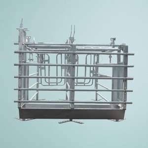 กรงคลอดสุกรแบบใหม่ HengYin HY-AFS สำหรับฟาร์มสุกรจีน ขายส่ง ดีไซน์ประตูหลัง วัสดุชุบสังกะสีแบบจุ่มร้อน อายุการใช้งานยาวนาน - Product Image 4