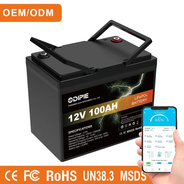 Custom 12V 12.8V 100Ah 1.28kWh 5000 Cycles Lithium LiFePO4 Battery Pack with Heating Bluetooth App China Factory OEM ODM