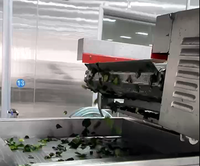 Machine de congélation en tunnel automatique IQF industrielle continue pour perles de tapioca, boules de riz glutineux Tangyuan
