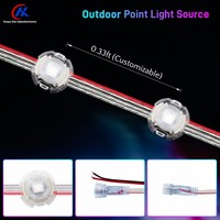 Source de lumière décorative à LED programmable DC12V SPI 20mm pour contour de pont de parc d'attractions et grande roue