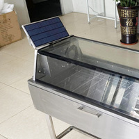 8-12kg Commerciële Zonne-energie Vis- en Fruitdroogmachine Voedseldehydrator Droogmachine voor Groenten, Fruit en Vlees