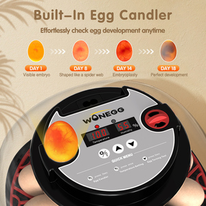 Incubateur à œufs Wonegg multifonctionnel certifié CE, 12 œufs, avec retournement des œufs et contrôle de la température, en vente - Product Image 3