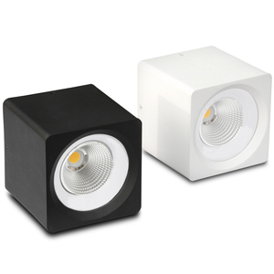 Moderno 12W-40W COB <span class=keywords><strong>LED</strong></span> Downlight montato a parete/sospeso <span class=keywords><strong>Non</strong></span> dimmerabile/dimmerabile con alta CRI IP65 220V caldo bianco 3000K CCT - Product Image 1