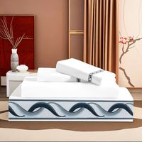 2025 vente chaude ensemble de draps en coton de qualité blanche pour hôtel