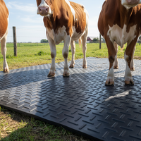 Alfombrillas/Pisos de Goma SBR/NBR Personalizables, Aptos para Caballos y Ganado, con una Dureza de 65 Grados