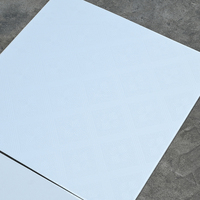 Paneles de Techo de Yeso con Revestimiento de PVC Personalizables y Duraderos, con Respaldo de Lámina de Aluminio, Resistentes al Fuego, a la Humedad y al Agua