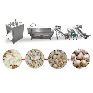 Machine de traitement de poudre d'ail Ligne de production entièrement automatique pour éplucher l'ail à sec - Product Image 4