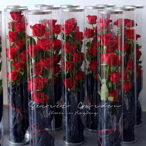 Boîtes à fleurs rondes en PET transparentes écologiques et recyclables pour bouquets de fleurs - Product Image 3