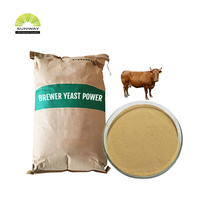 La poudre nutritionnelle de levure de brasseur d'additifs d'alimentation des animaux de levure séchée par brasseur favorisent sain et la croissance CAS 8013