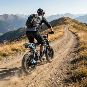 Abenteuer-Trekking-Mountainbike mit 20 Zoll Fat Tires, E-Mountainbike für Geländewege und Feuerwehrstraßen - Product Image 5