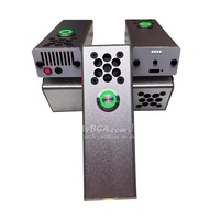 Láser Portátil IPG, Encendedor Remoto Personalizado, 974nm 40W, Luz Invisible, Repelente de Mosquitos, Alcance de 1M