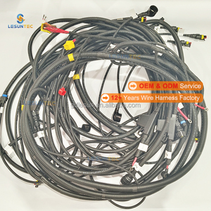 Lesun telaio personalizzato per carrozzeria auto assemblaggi cavi per camion cablaggio - Product Image 1