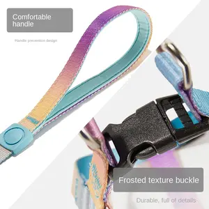 Dog Rope Explosion-proof Impact Pet Dog Leash And Leash Set Luxury Pet Collars Leashes Custom Pet Dog Harness