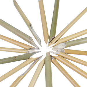 Stylo roseau en bambou <span class=keywords><strong>Qalam</strong></span> pour calligraphie arabe farsi hébreu kurde ourdou gothique tibétain pratique écriture encre stylo trempé - Product Image 4