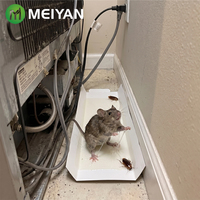 Piège à souris en colle en gros, vente en gros, directement de l'usine chinoise, planche collante à rats à forte adhérence pour la lutte professionnelle contre les nuisibles