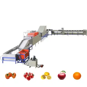 과일 및 야채 왁싱 및 정렬 기계 배 등급 기계