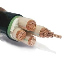 Câble en cuivre XLPE U-1000 R2V/Xv/RV Rvfv 4X25mm2 4X35mm2 4X70mm2 4X95mm2 0.6/1kV CN