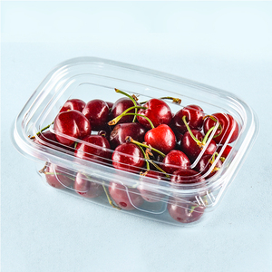 Caja de helado de 200 gramos de capacidad, contenedor sellado al vacío con tapa STL-220G - Product Image 1